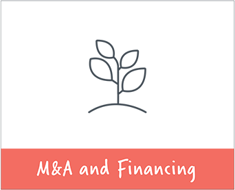 M&A and Financing Category Link